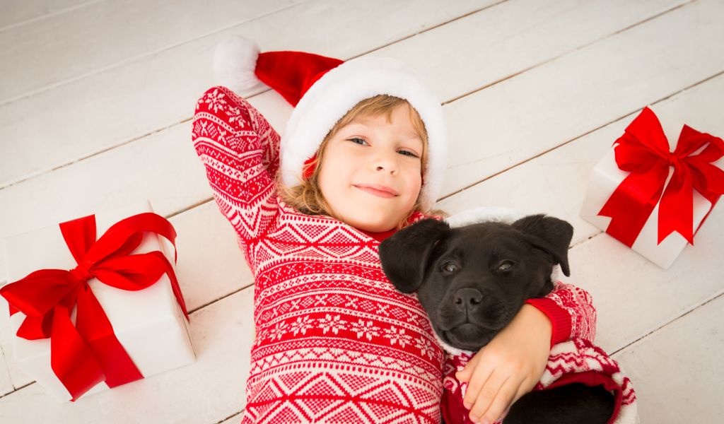 Милая девочка в новогоднем костюме на полу с собакой 