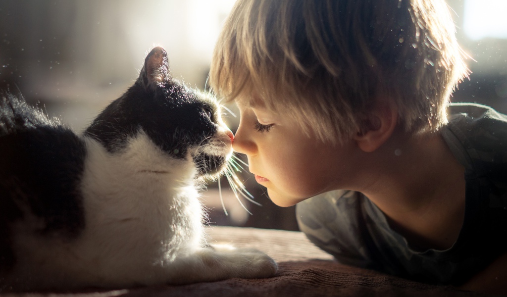 Маленький мальчик лежит с котом 