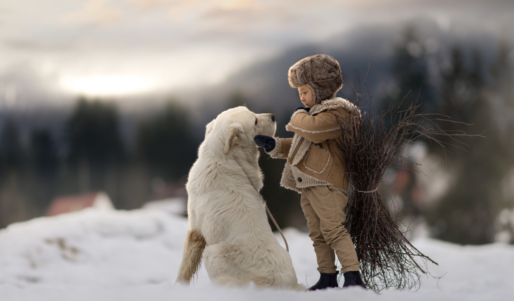Маленький мальчик с большой белой собакой в лесу 