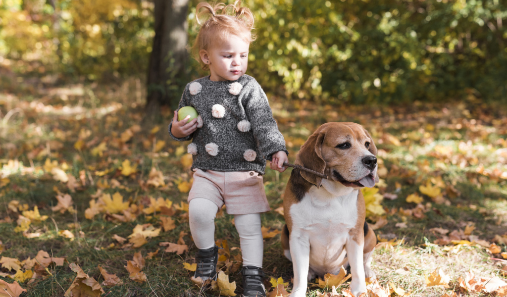 Little girl walking a dog in autumn park