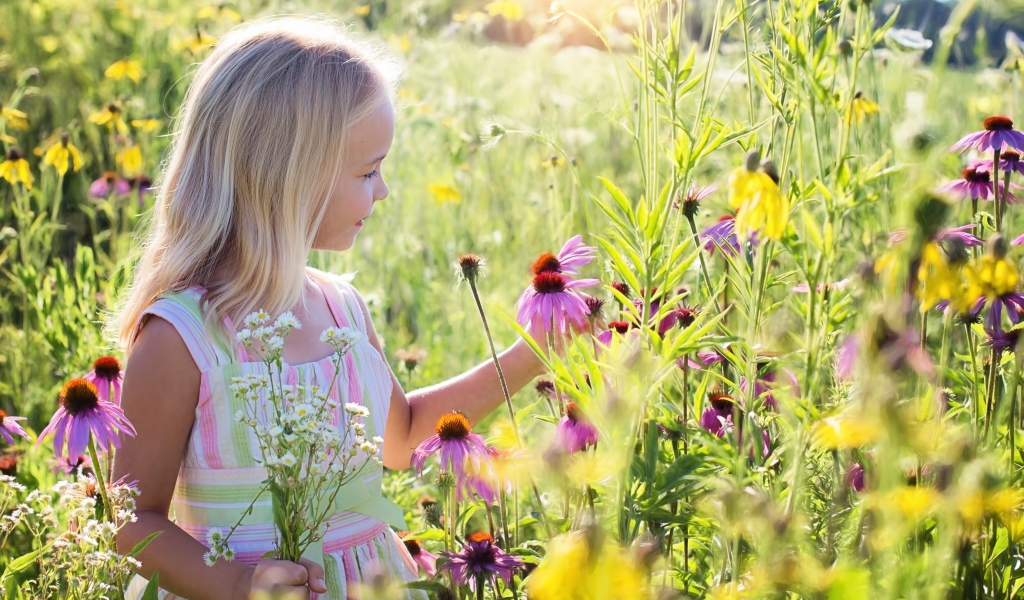 Маленькая девочка гуляет на поле с цветами эхинацеи 