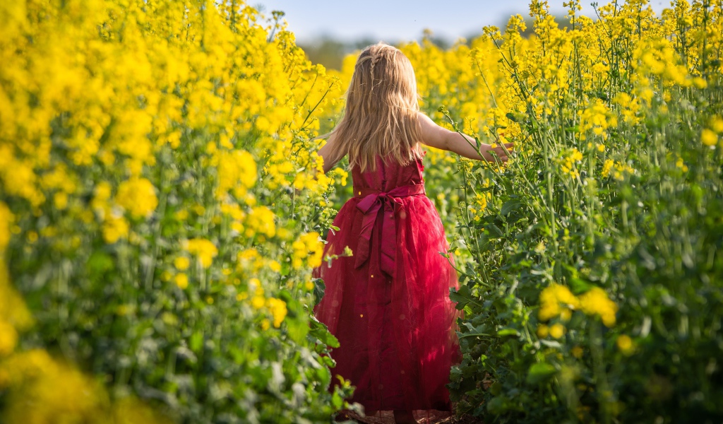 Маленькая девочка идет по полю с желтыми цветами