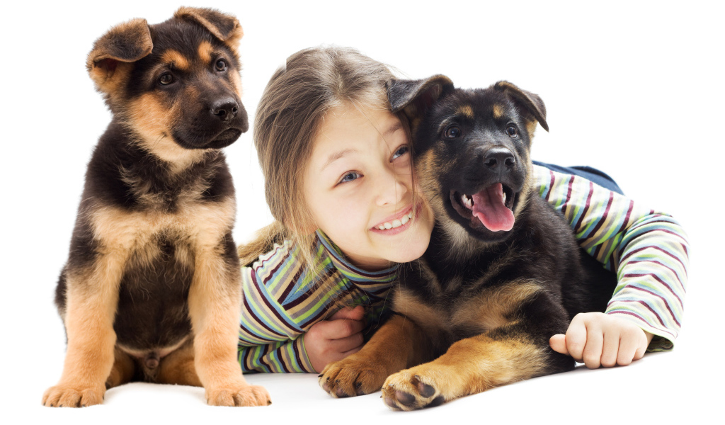 Улыбающаяся девочка с двумя щенками овчарки