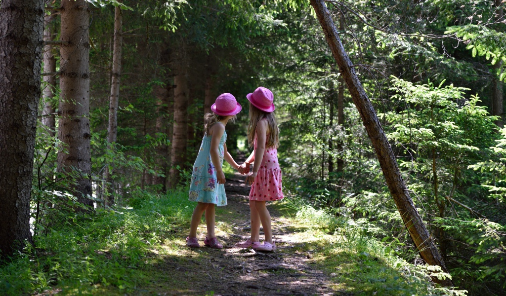 Две маленькие девочки гуляют в лесу