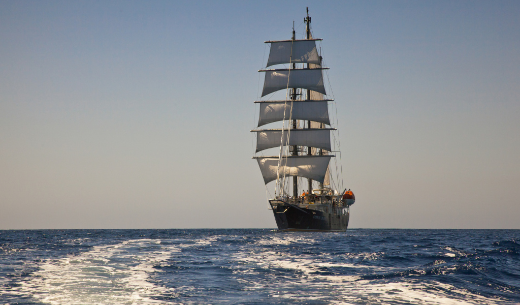 Большой корабль с белыми парусами в поле 