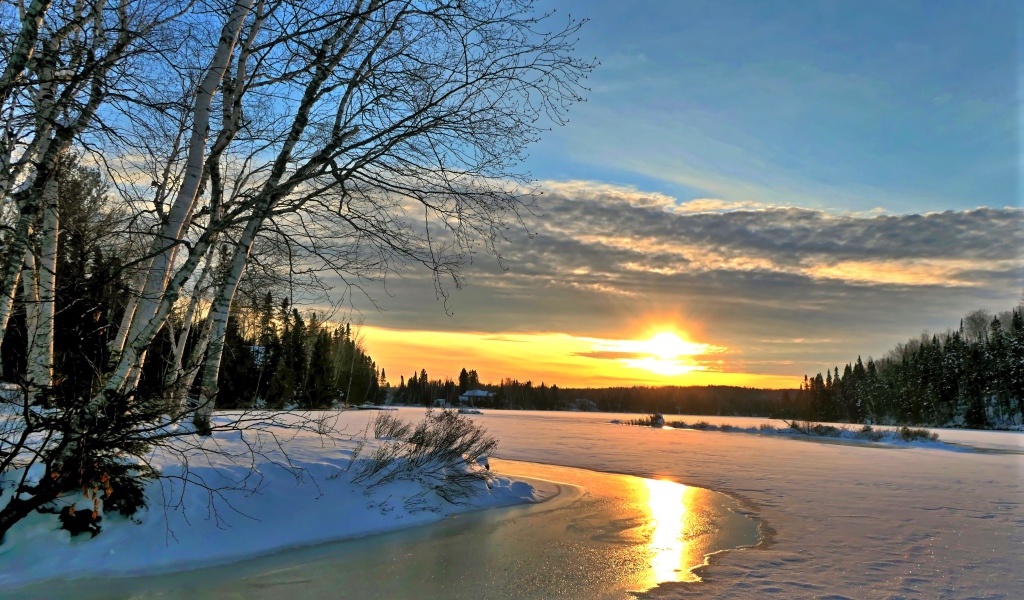 Birches on the banks of an ice-covered river at sunset in winter