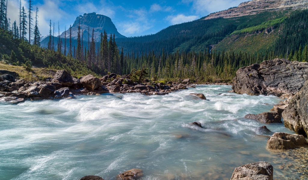 Быстрая холодная горная река, Канада
