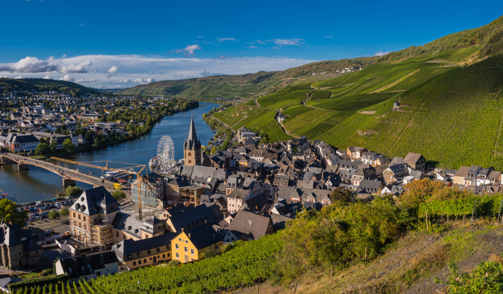 Вид город, реку и виноградник. Германия 