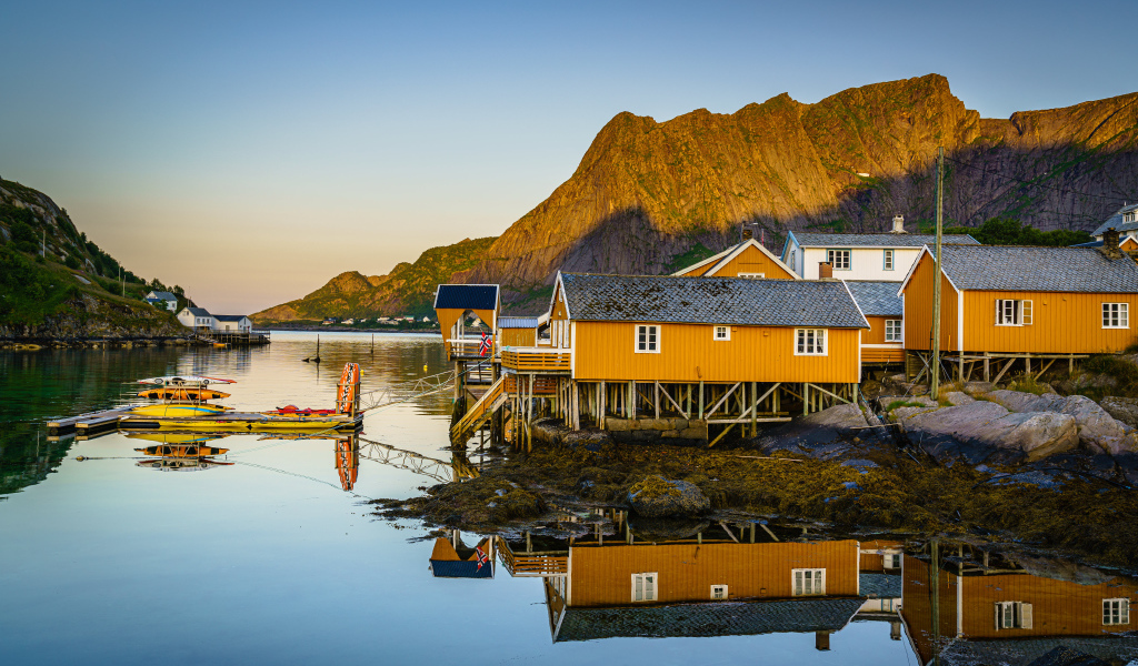 Деревья на сваях на острове Лофотен у гор, Норвегия 