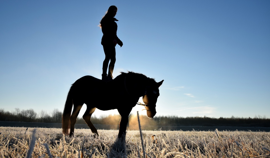 Девушка стоит на коне на фоне рассвета 