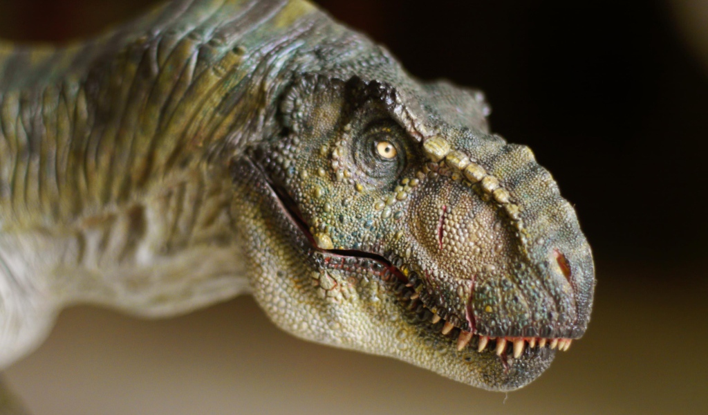 Морда динозавра т рекса крупным планом