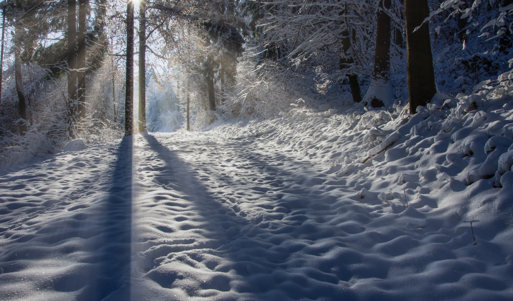 Лучи солнца освещают заснеженную дорогу 