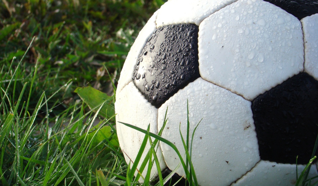 Мокрый футбольный мяч лежит на зеленой траве 