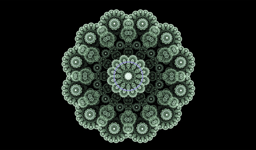 Кружевной зеленый фрактальный цветок на черном фоне