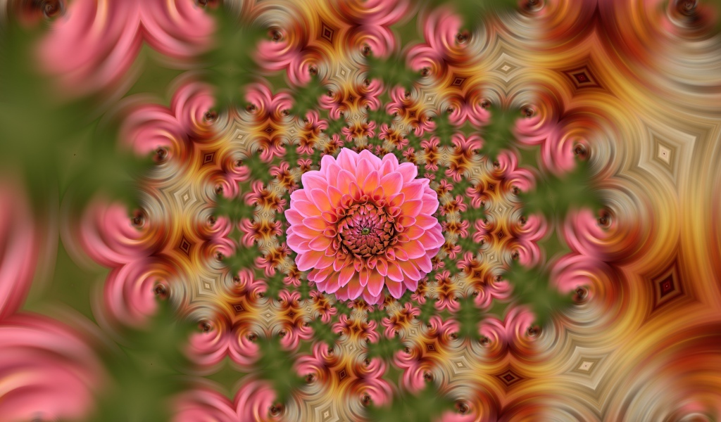 Розовый цветок георгина на абстрактном фоне