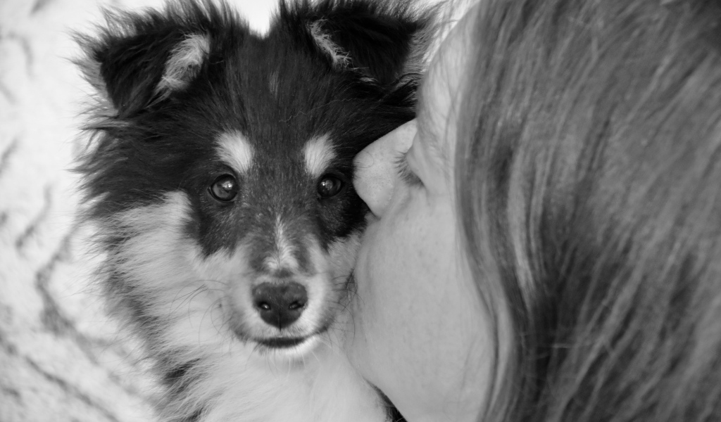 Девушка целует милого щенка 