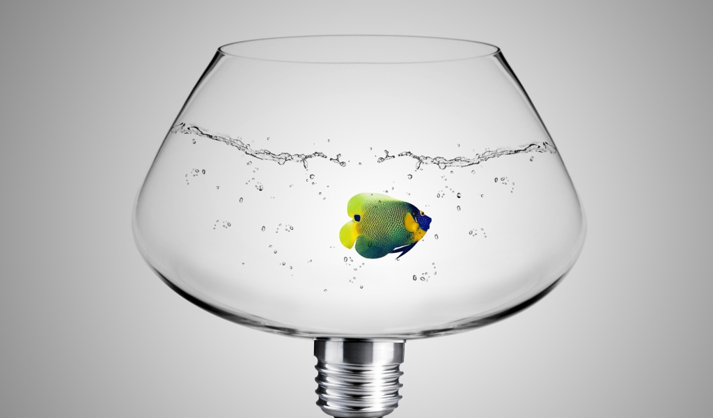 Рыбка в аквариуме лампе на сером фоне