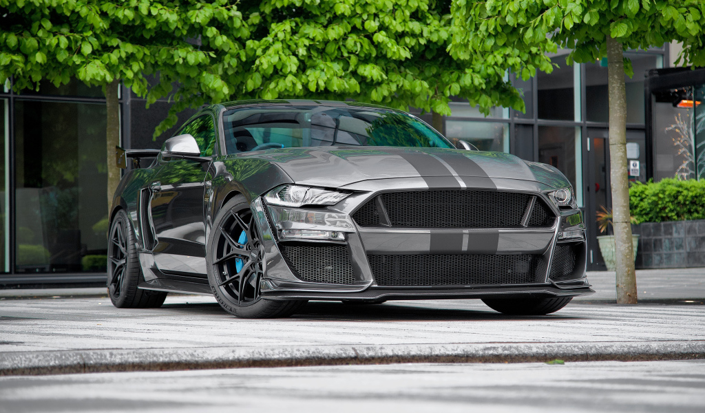 Быстрый дорогой автомобиль Ford Mustang CS850GT 2021 года