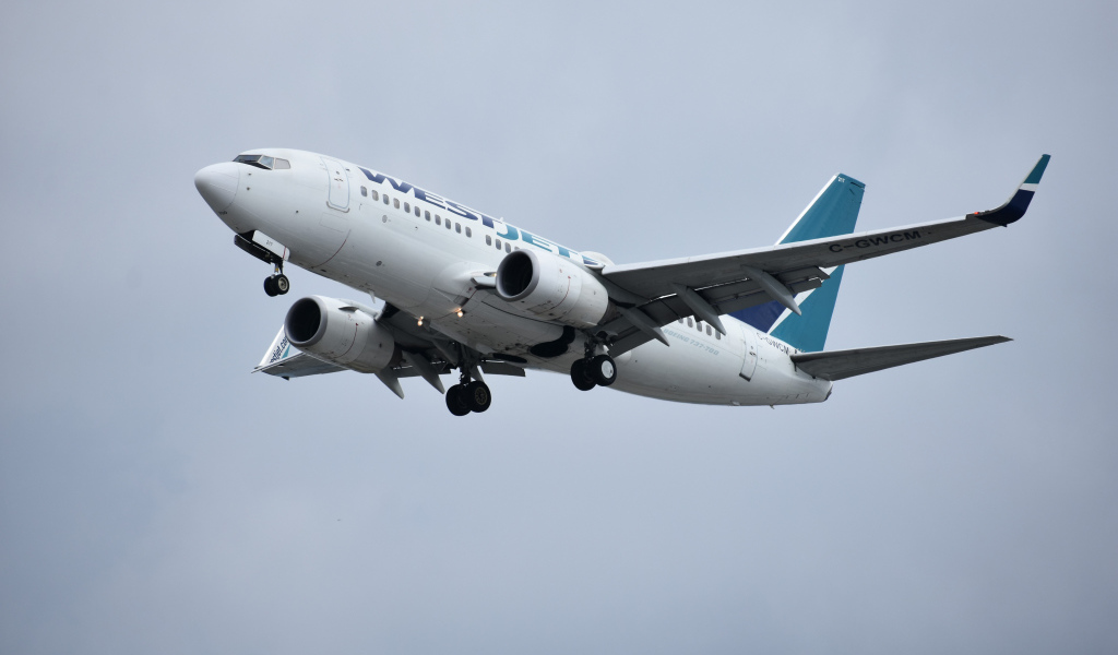 Пассажирский Boeing 737 авиакомпании  WestJet в небе 