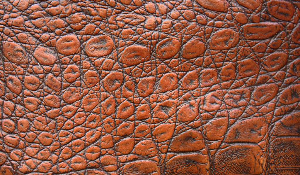 Коричневая кожа крокодила крупным планом, фон