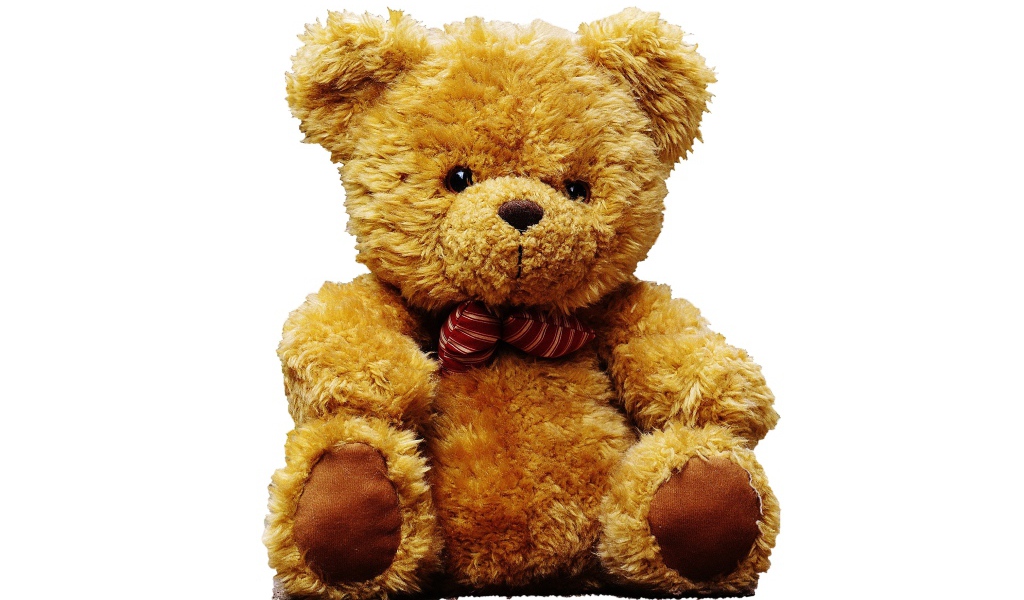 Большой плюшевый медведь на белом фоне