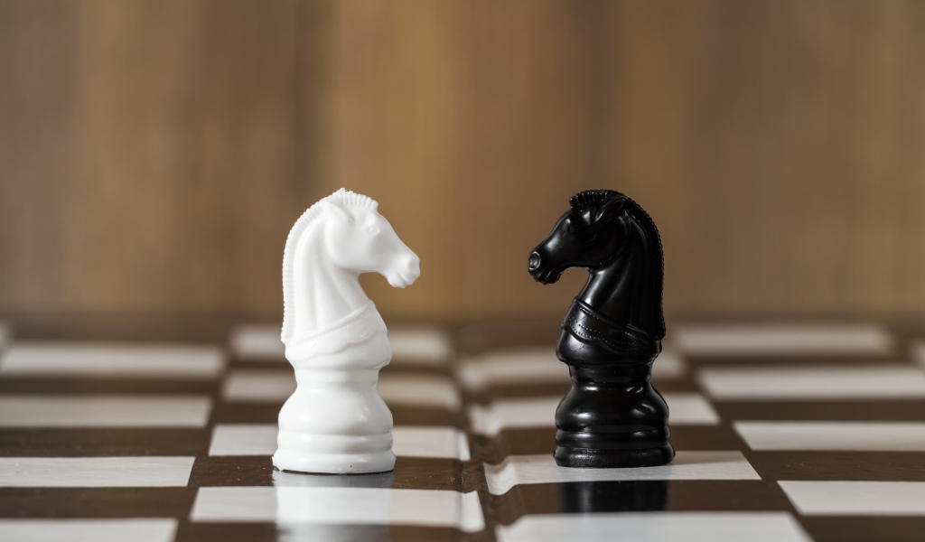 Черный и белый шахматный конь