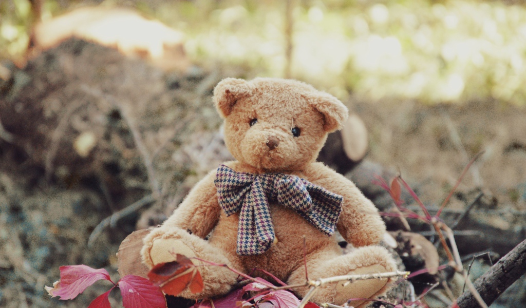 Маленький плюшевый мишка сидит на земле 