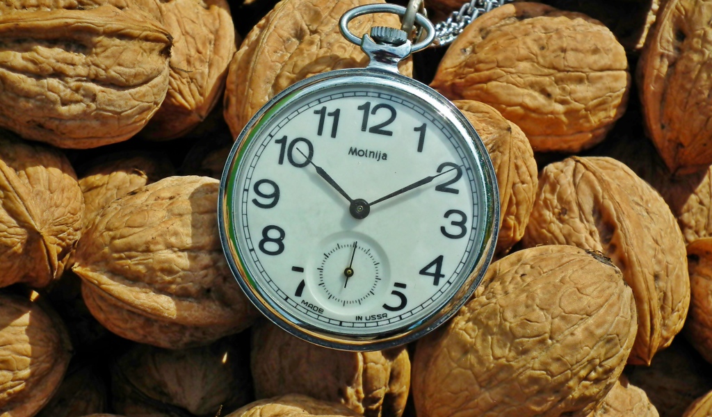 Карманные часы с грецкими орехами 