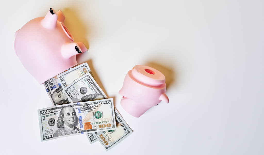 Свинья копилка с долларами на сером фоне 