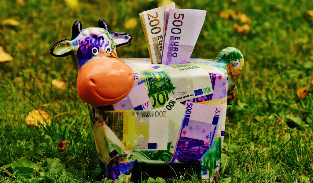 Копилка корова с купюрами евро на зеленой траве 