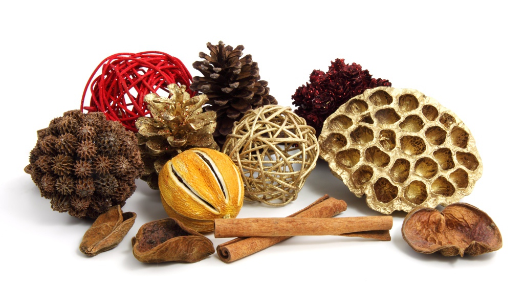 Ароматные специи и шишки на белом фоне 