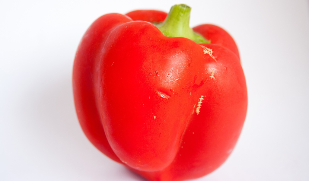 Большой красный болгарский перец на сером фоне