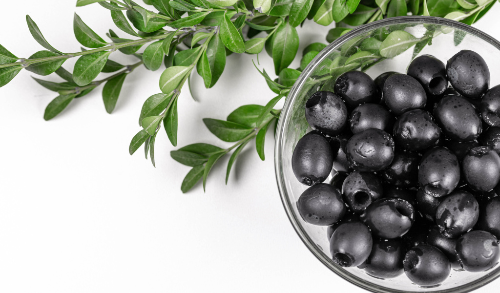 Черные маслины с веткой на белом фоне