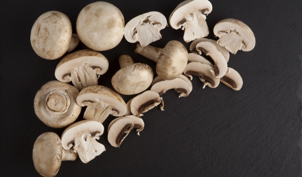 Свежие нарезанные шампиньоны на сером фоне