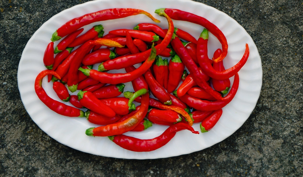 Острый красный перец чили на большой белой тарелке