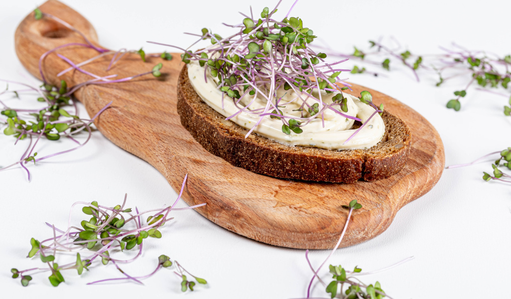 Бутерброд с соусом и зелеными ростками пшеницы