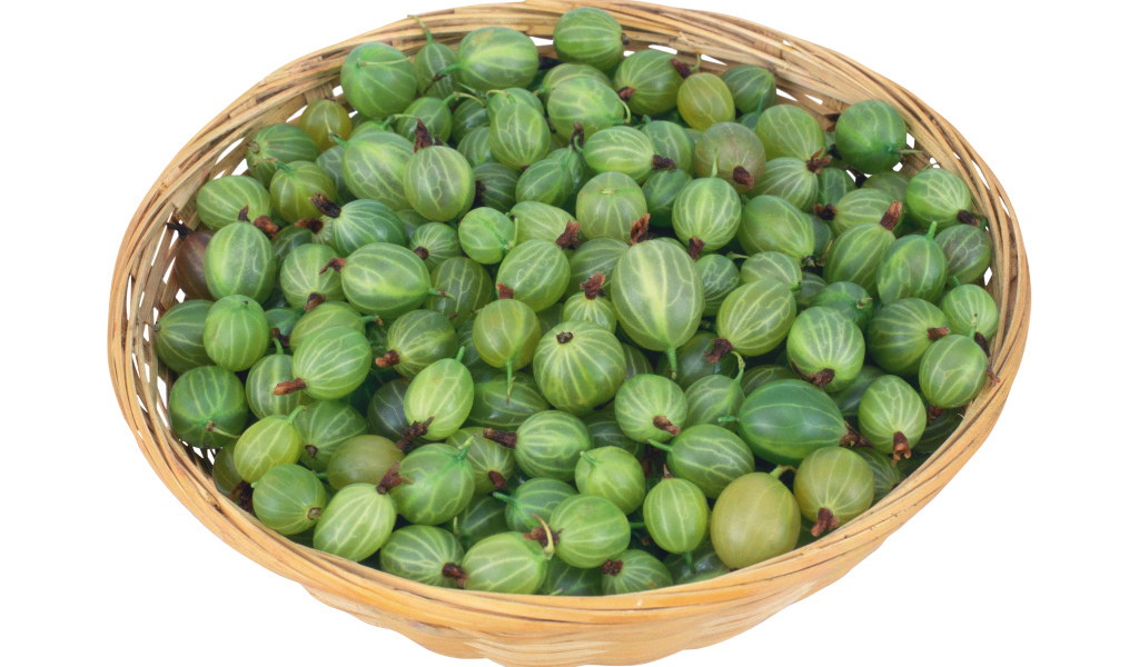 Зеленый крыжовник в корзинке на белом фоне