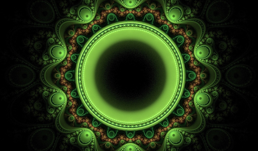 Зеленый лайм на ветке в каплях воды