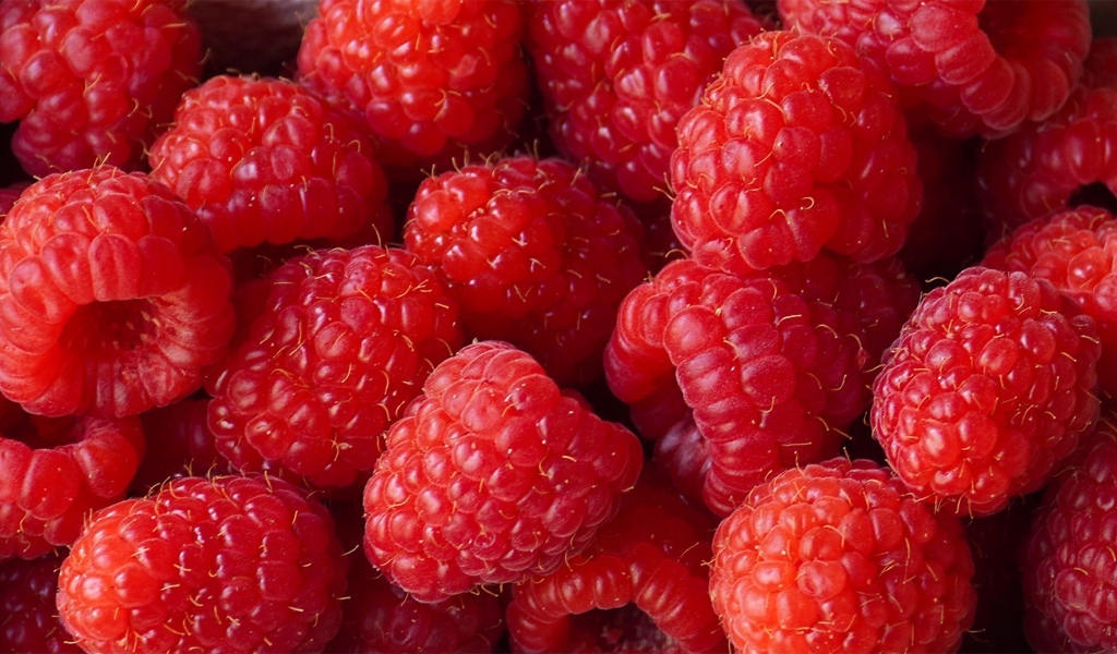 Красные сладкие ягоды малины крупным планом 