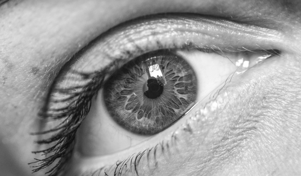 Красивый глаз девушки черно-белое фото