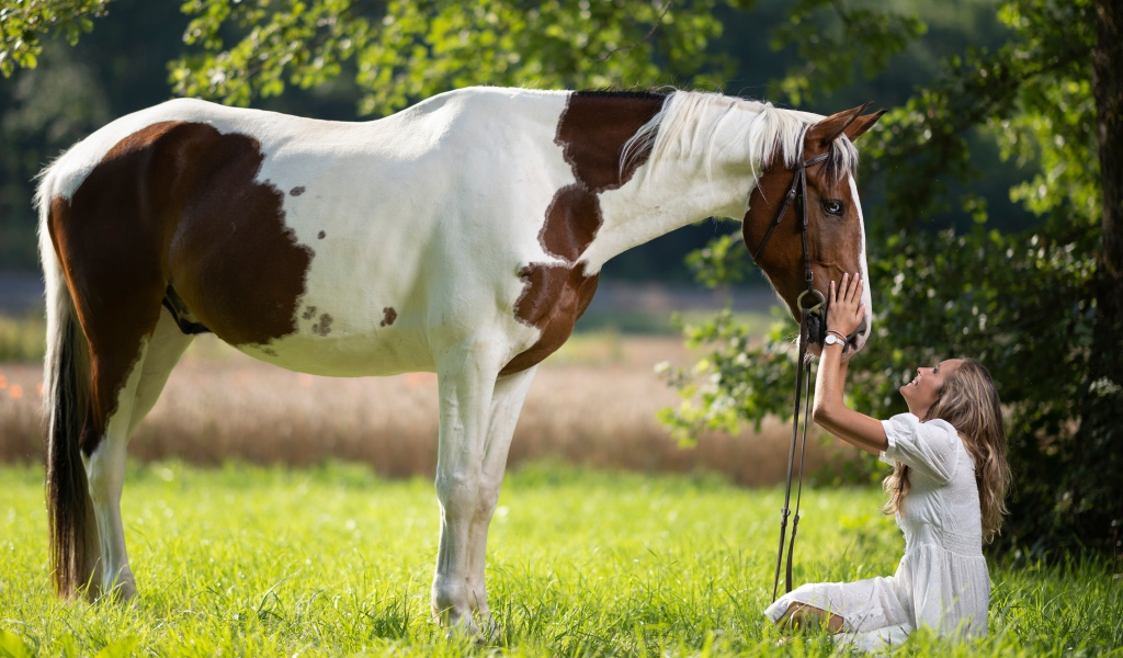 Девушка блондинка с лошадью на зеленой траве