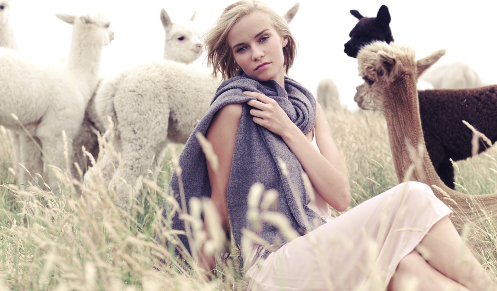 Девушка с детенышами альпаки на поле