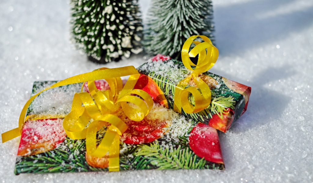 Два подарка с бантами на снегу 