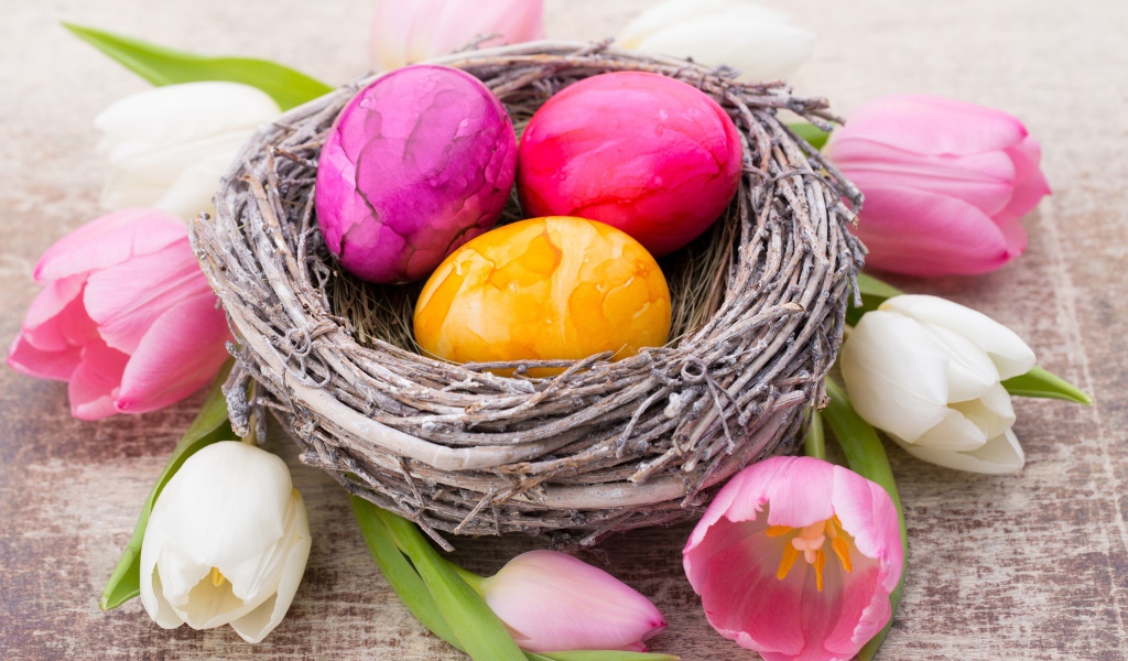 Три разноцветных яйца в гнезде с тюльпанами на праздник Пасха