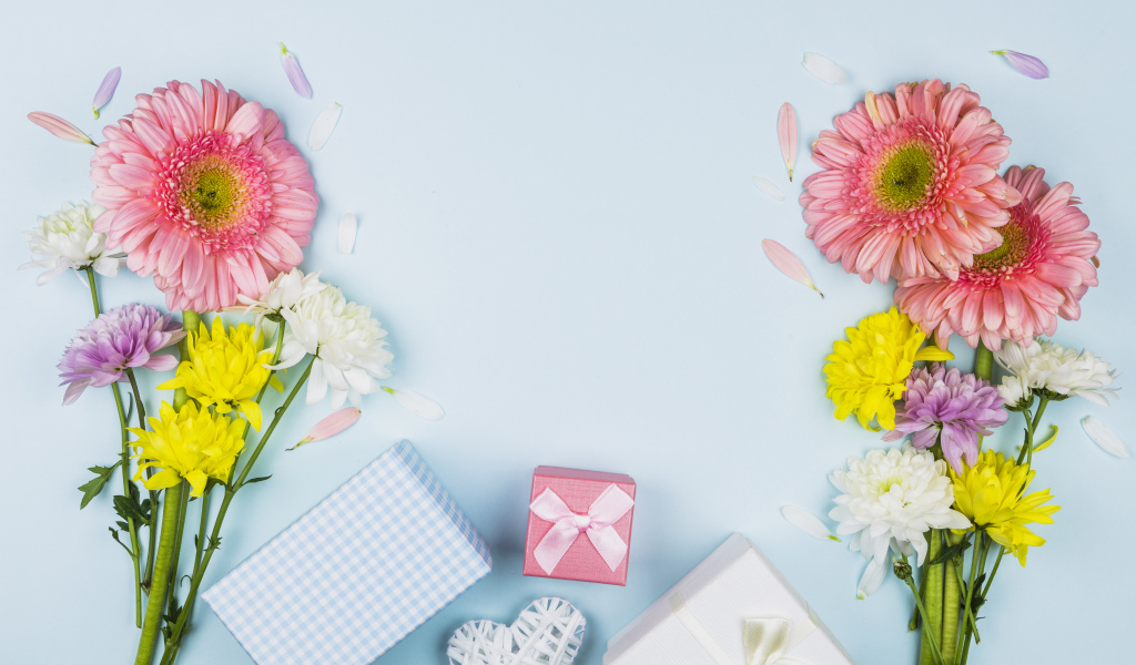 Цветы герберы и подарки на голубом фоне, шаблон поздравительной открытки на 8 марта