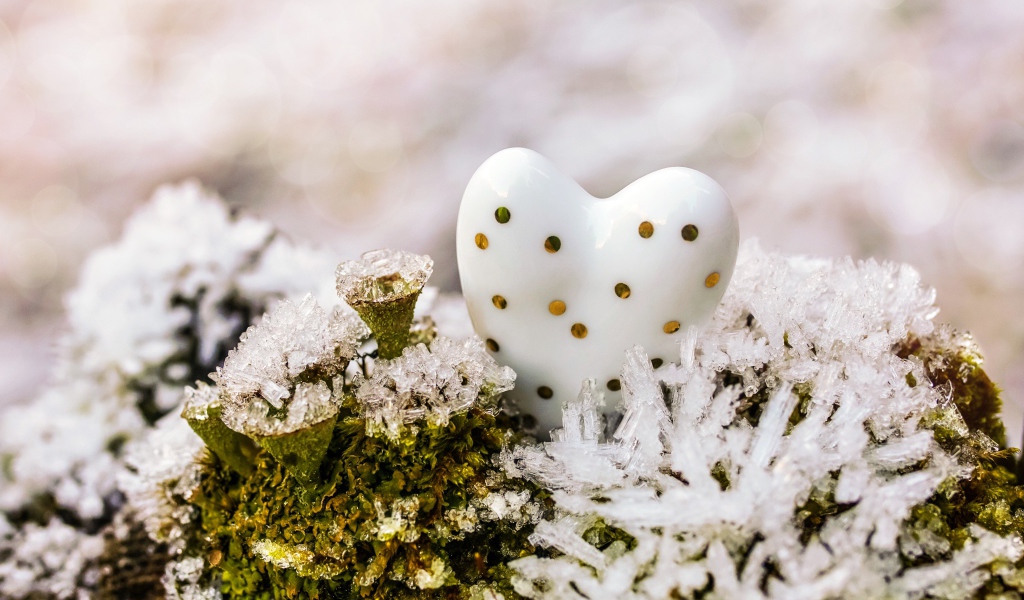 Фарфоровое сердце на мху в снегу
