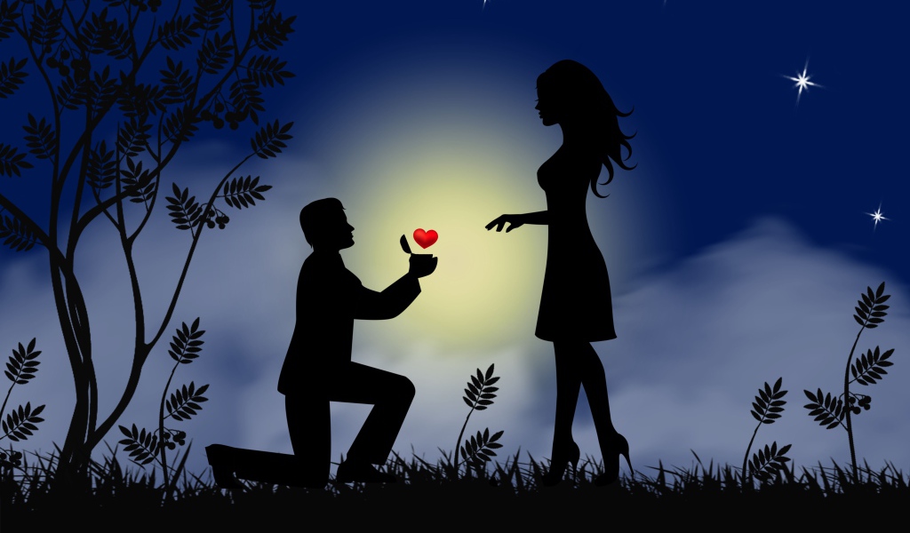 The guy makes the girl a proposal on the background of the moon