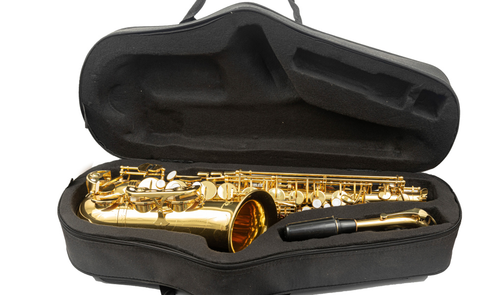 Саксофон в черном чехле на белом фоне