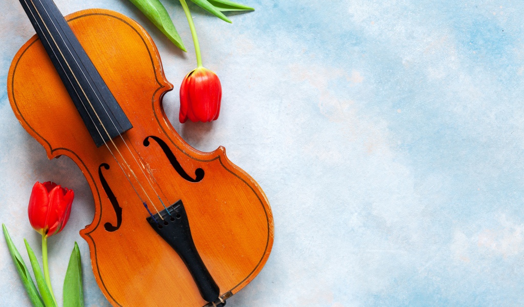 Скрипка с тюльпанами на голубом фоне