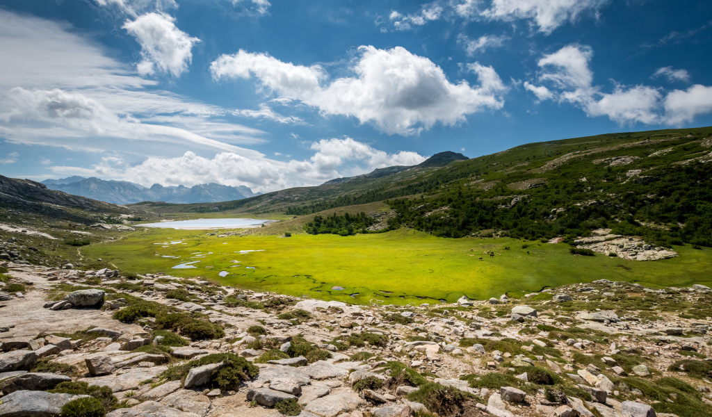Красивое небо над зеленым лугом в горах 